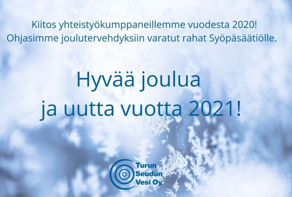Hyvaa joulua ja uutta vuotta 2021_tsv_1000