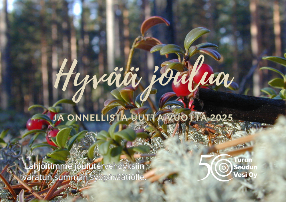 Kuvassa puolukoita ja tekstiä