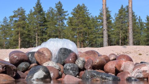 Vettä valuu kivien väliin. Taustalla metsää